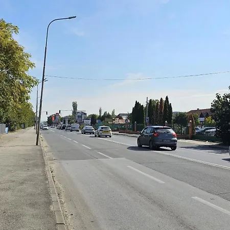 3d Duci Dado Daro 2025